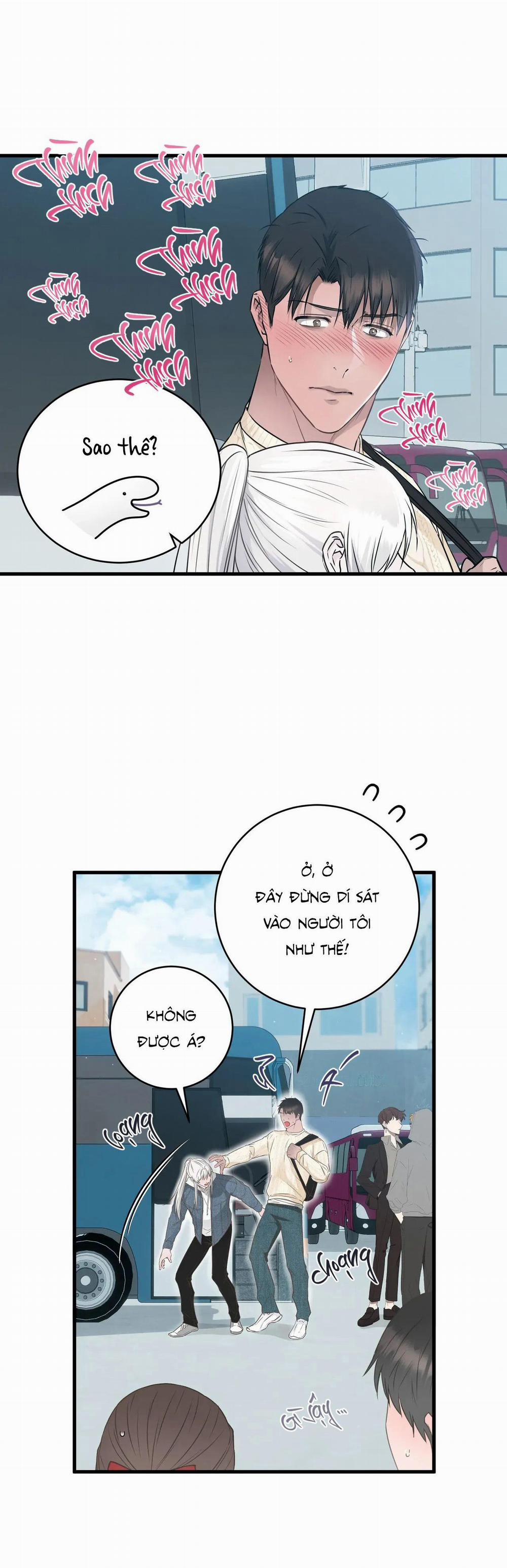 CỨU TINH CỦA RẮN 3 trang 26