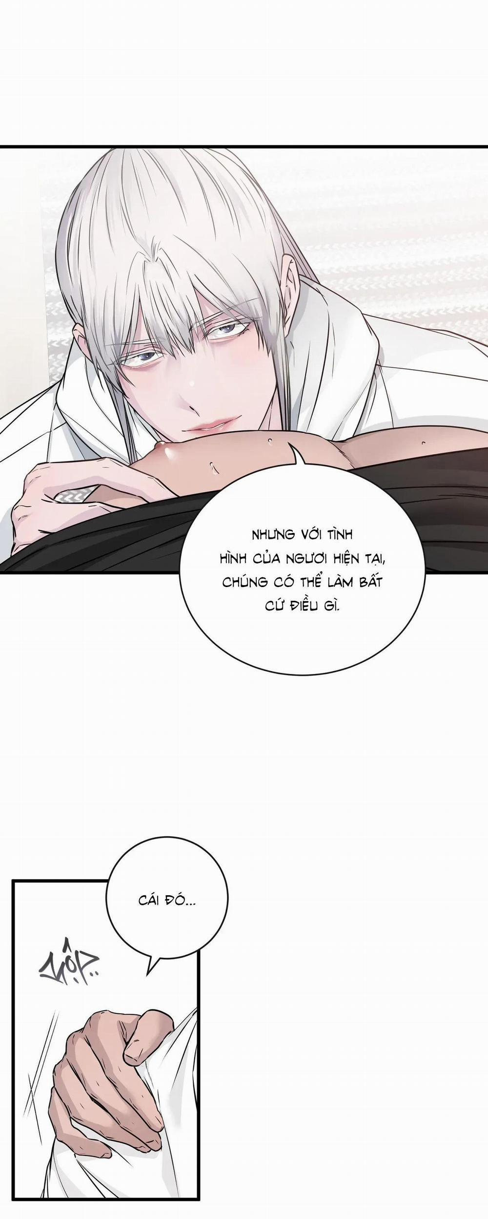 CỨU TINH CỦA RẮN 4 trang 25