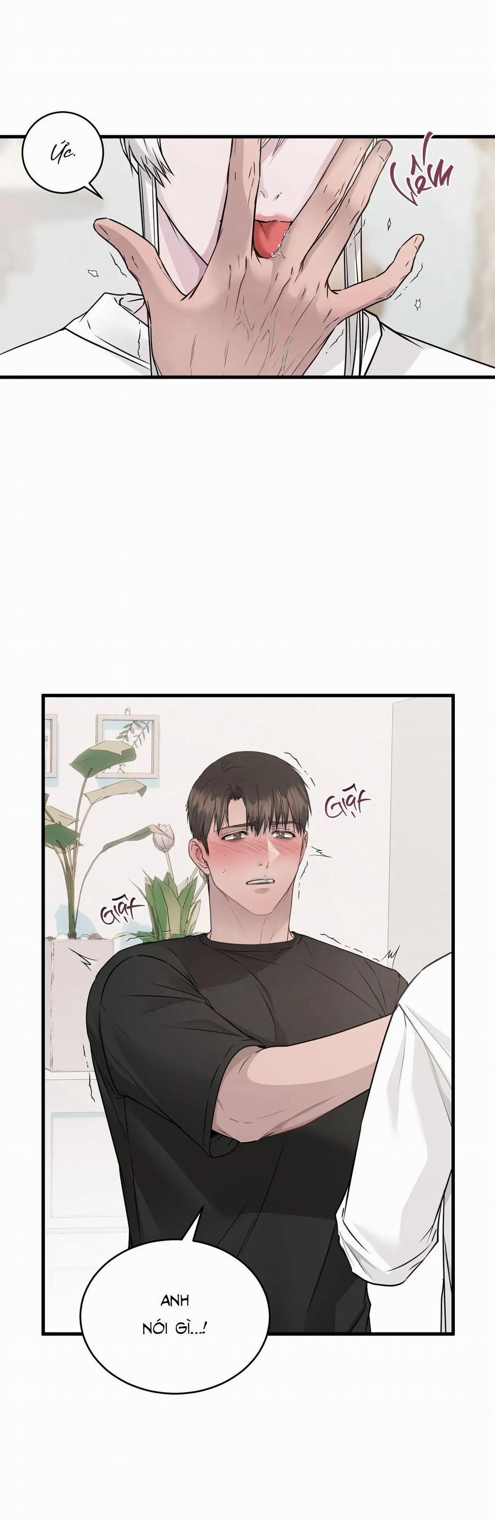 CỨU TINH CỦA RẮN 4 trang 28