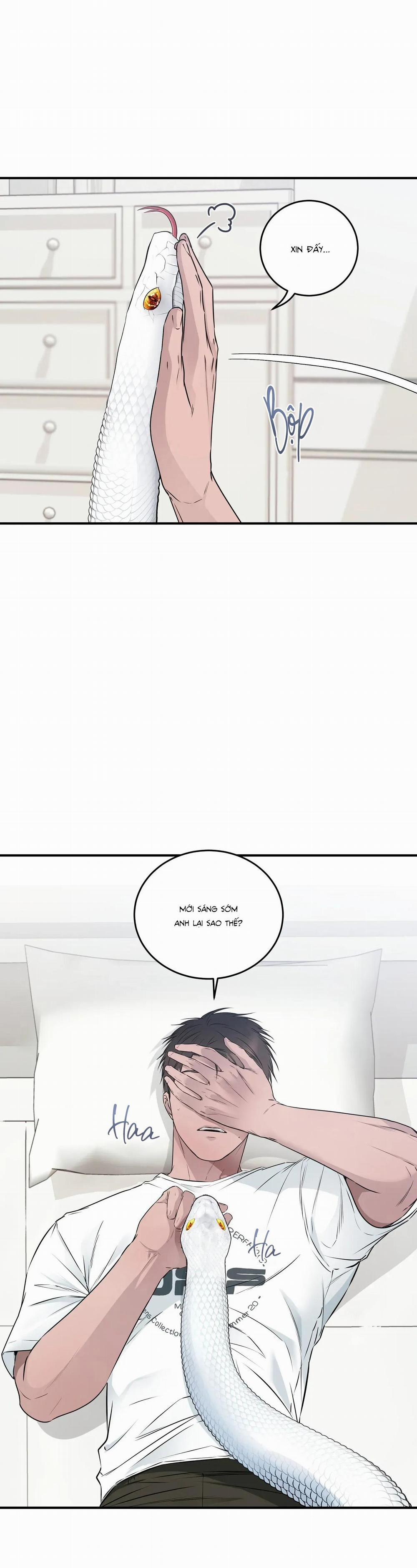 CỨU TINH CỦA RẮN 7 trang 25