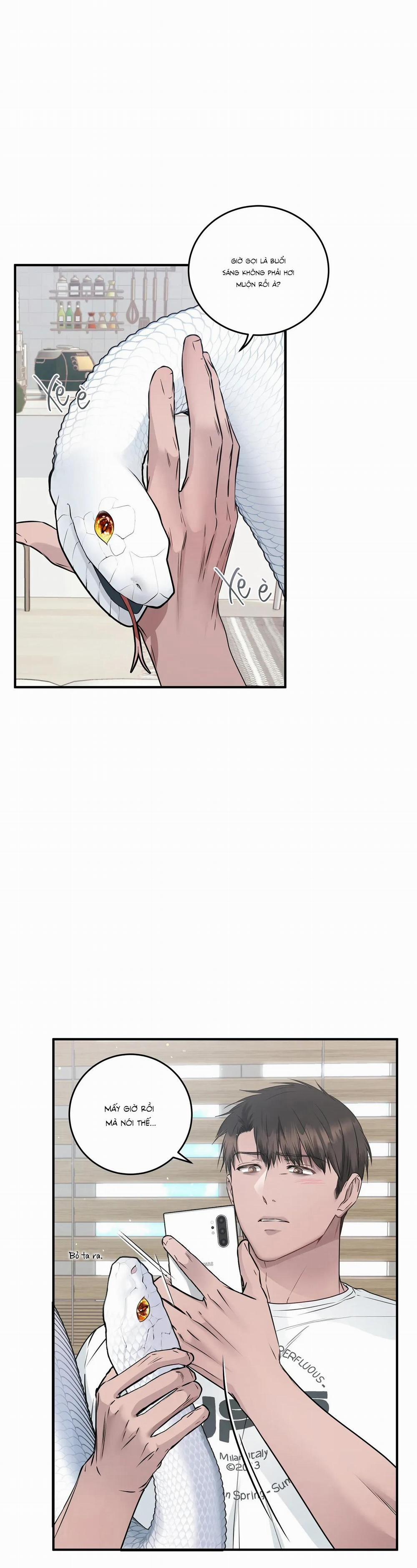 CỨU TINH CỦA RẮN 7 trang 26