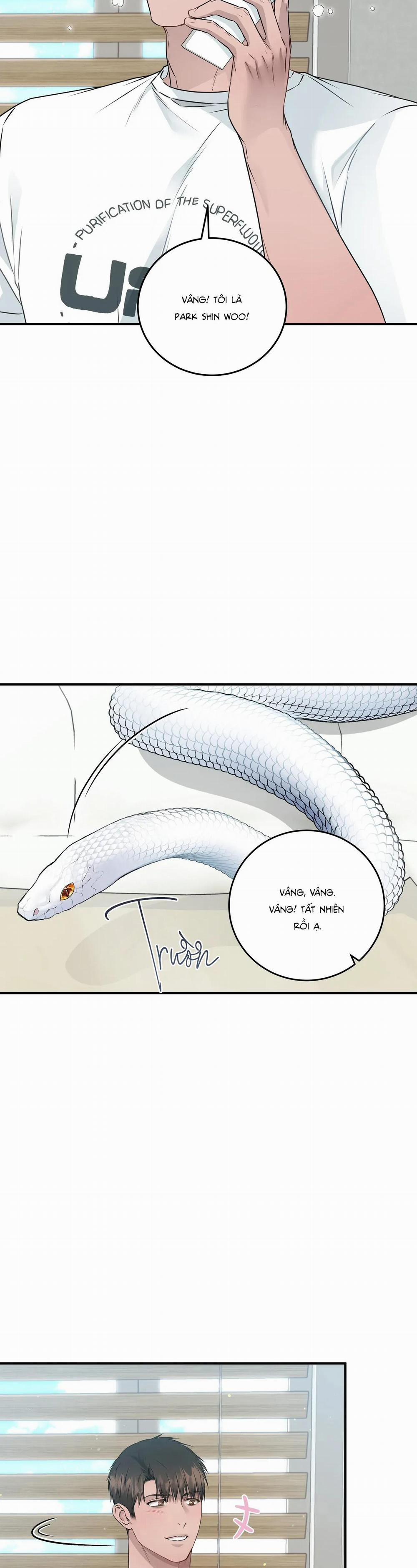 CỨU TINH CỦA RẮN 7 trang 28