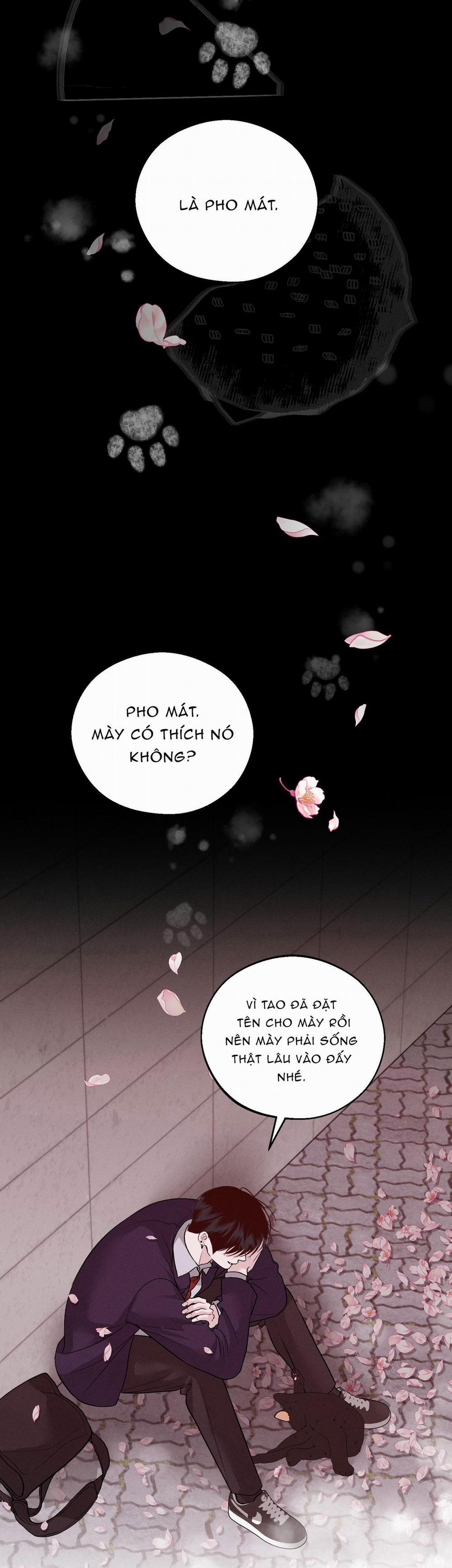 Cứu Tinh Của Thứ Hai 43 trang 45