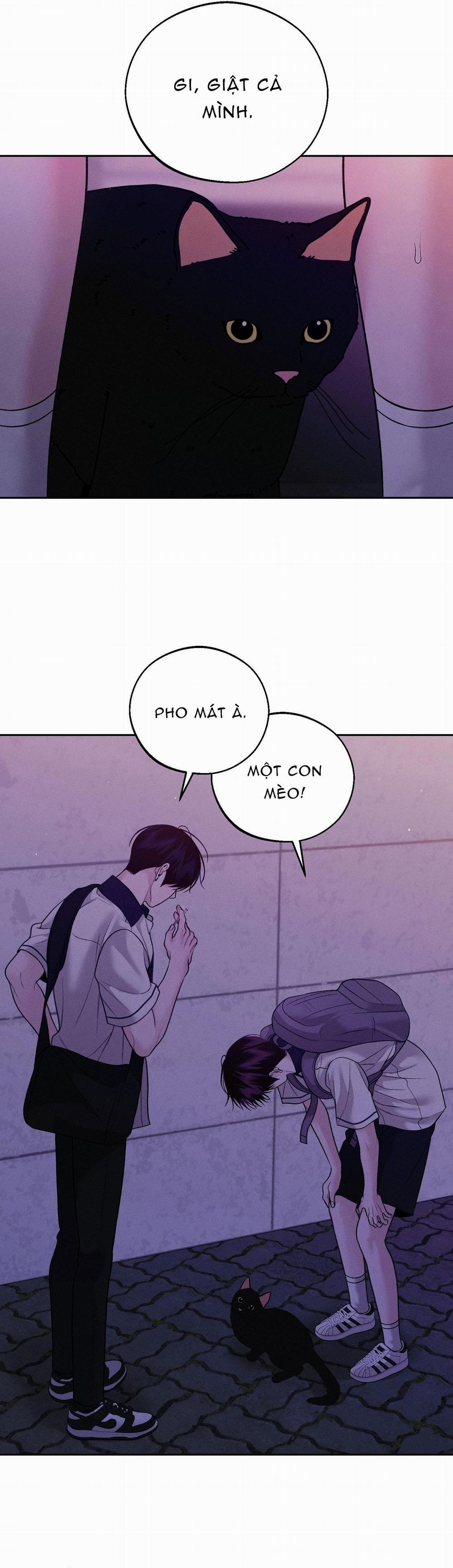 Cứu Tinh Của Thứ Hai 43 trang 5