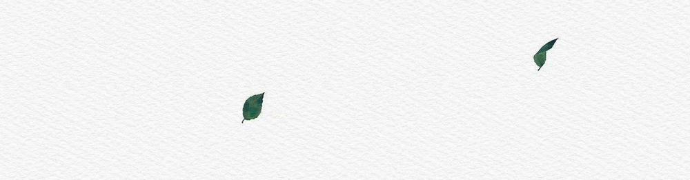 Củy Dạ Khút 38 trang 86