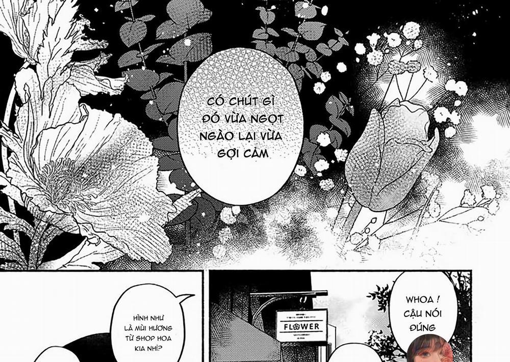 Đã Đến Lúc Tỏa Hương 1 trang 0