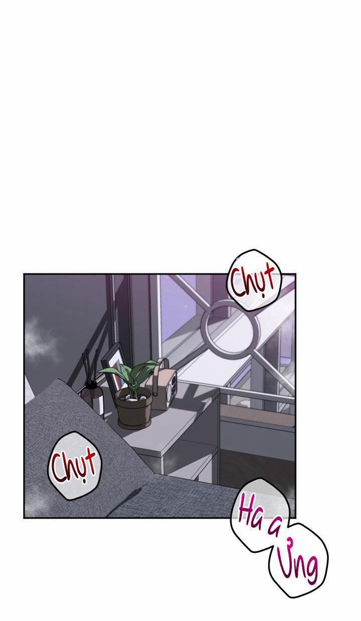 ĐÃ GIAO HÀNG 16 trang 32