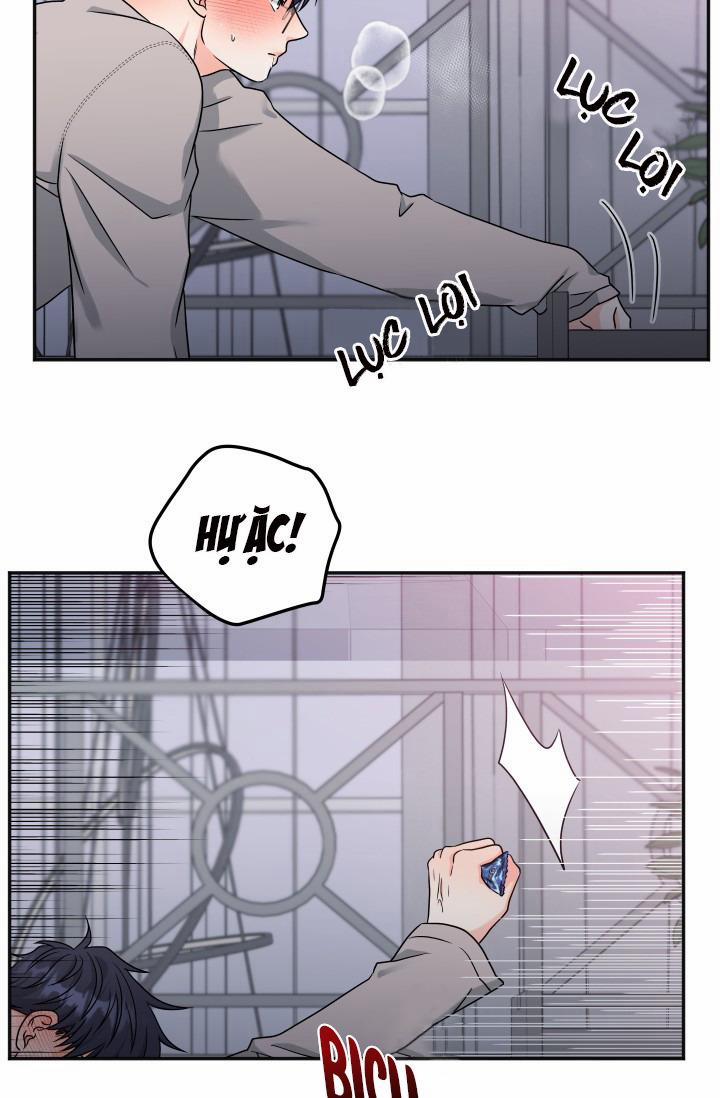 ĐÃ GIAO HÀNG 17 trang 19