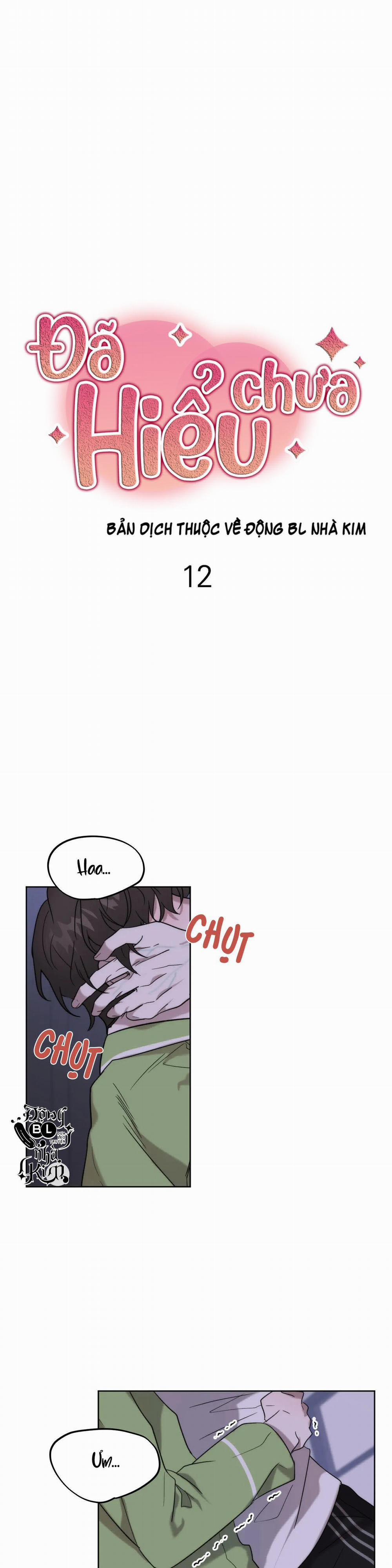 Đã Hiểu Chưa 12 trang 0