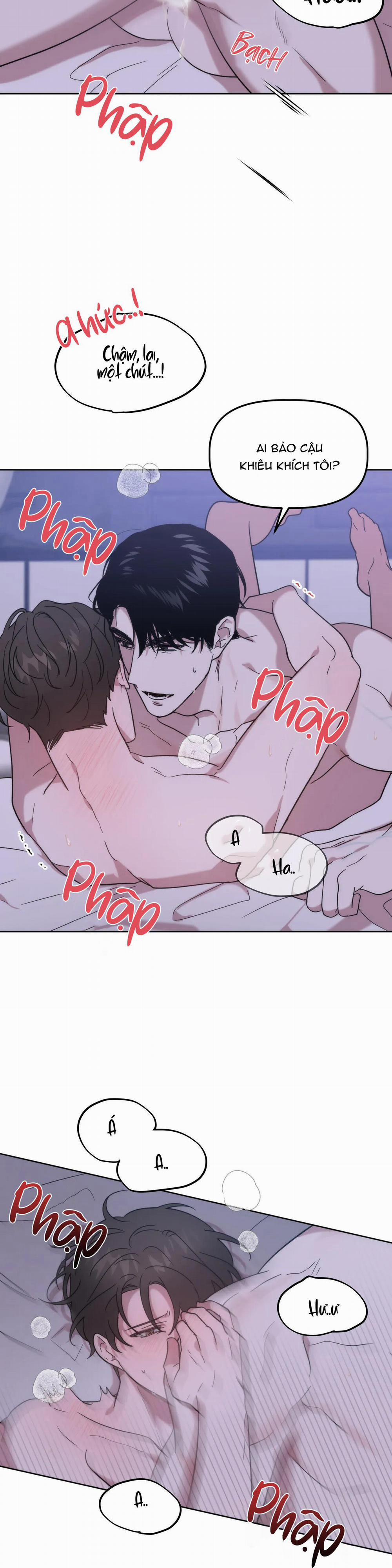 Đã Hiểu Chưa 12 trang 19