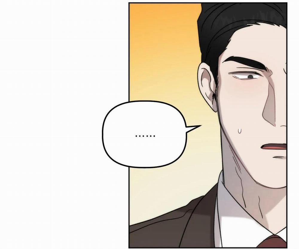 Đã Hiểu Chưa 13 trang 102