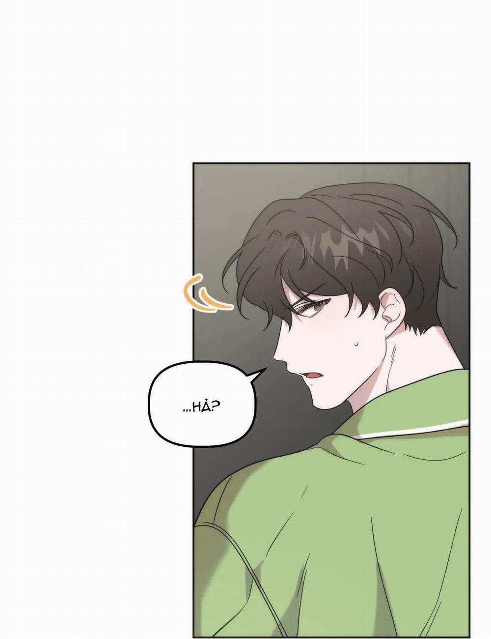 Đã Hiểu Chưa 13 trang 52