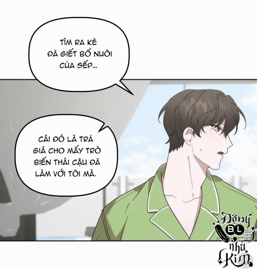 Đã Hiểu Chưa 13 trang 61