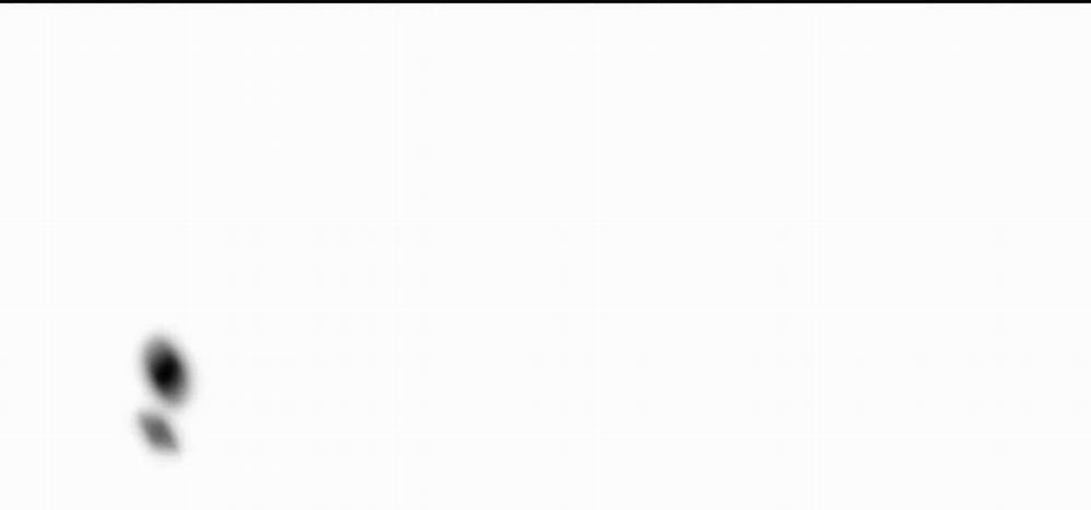 Đã Hiểu Chưa 17 trang 13