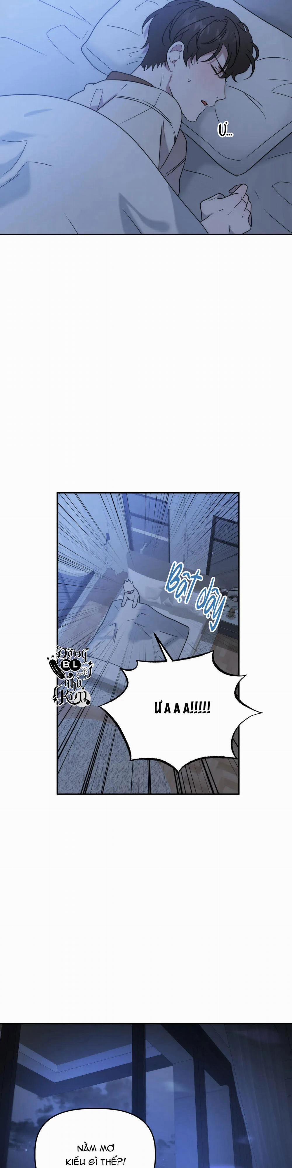 Đã Hiểu Chưa 18 trang 17