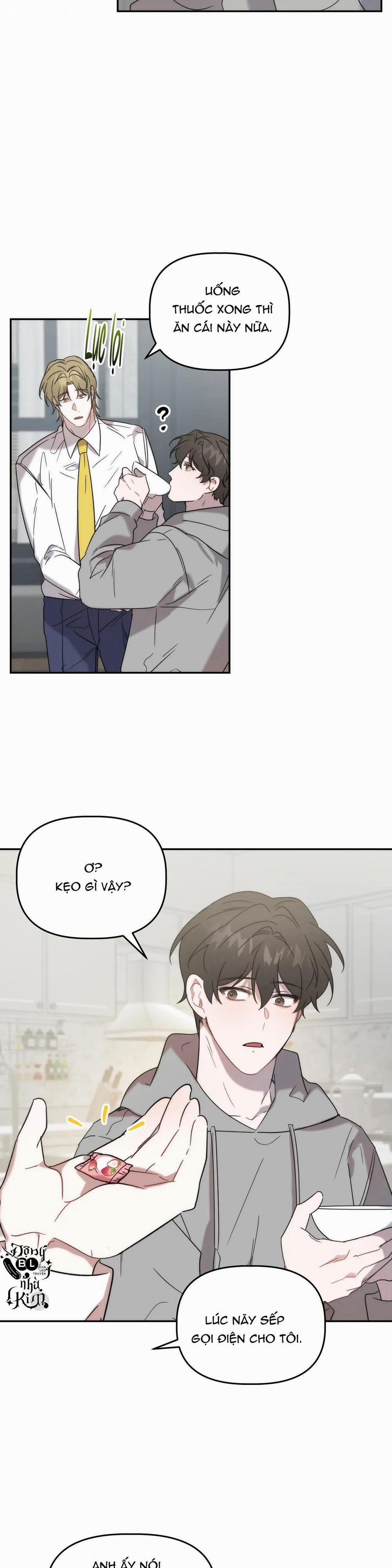 Đã Hiểu Chưa 20 trang 29