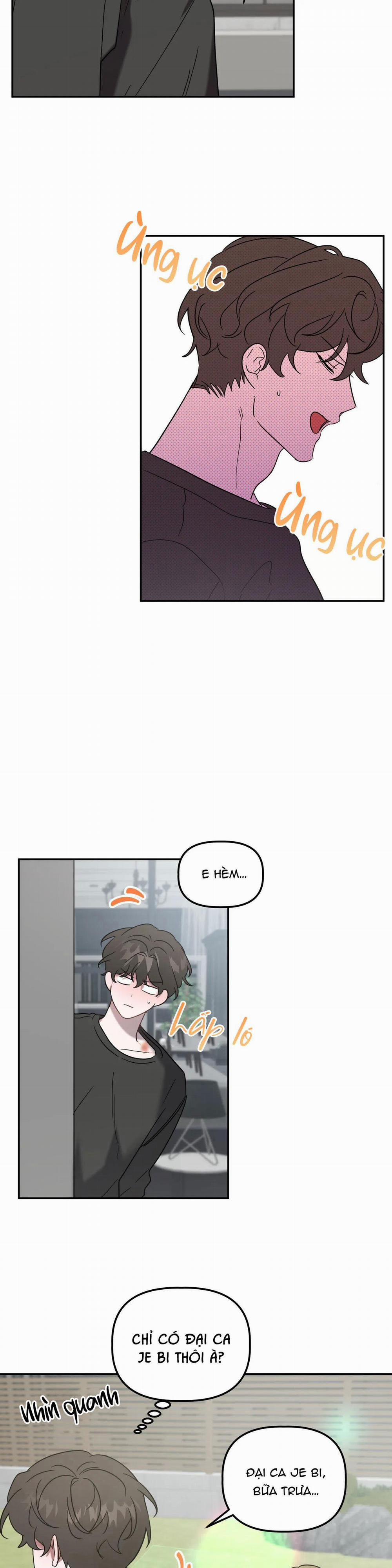 Đã Hiểu Chưa 25 trang 16