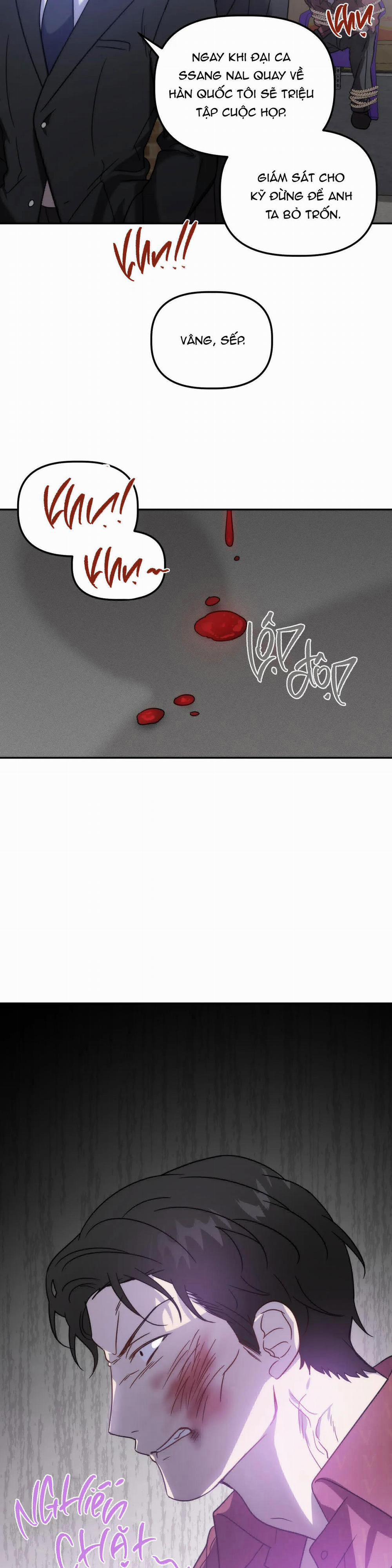 Đã Hiểu Chưa 31 trang 6