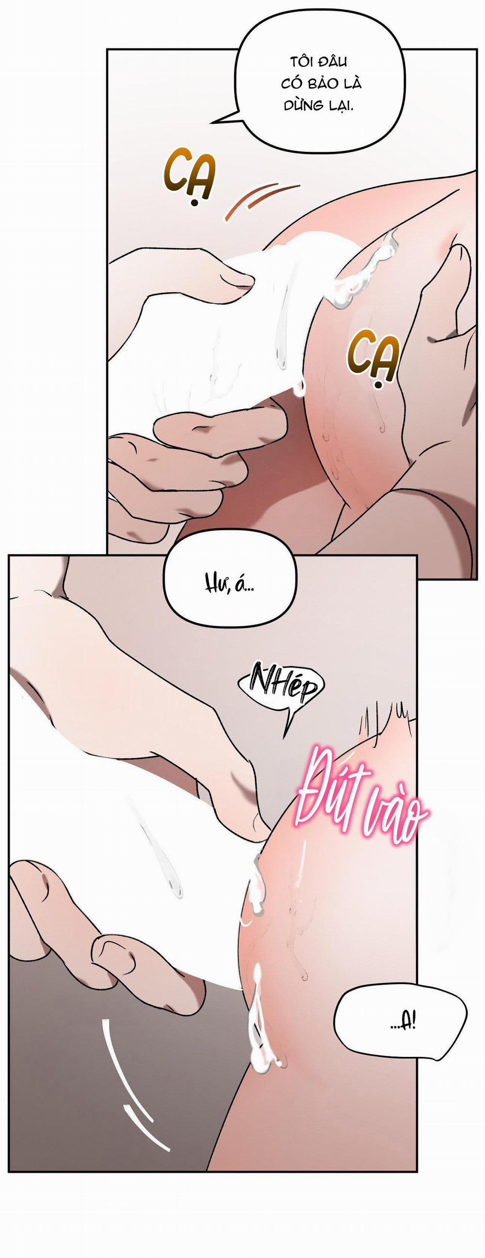 Đã Hiểu Chưa 40 trang 13