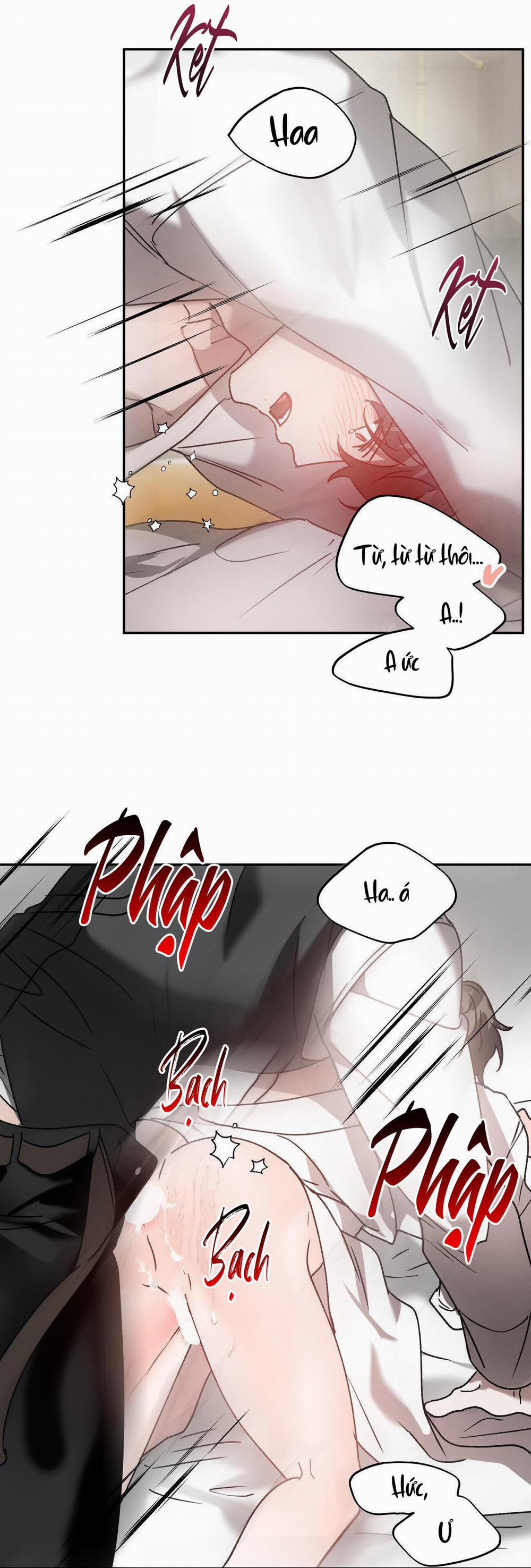 Đã Hiểu Chưa 40 trang 16