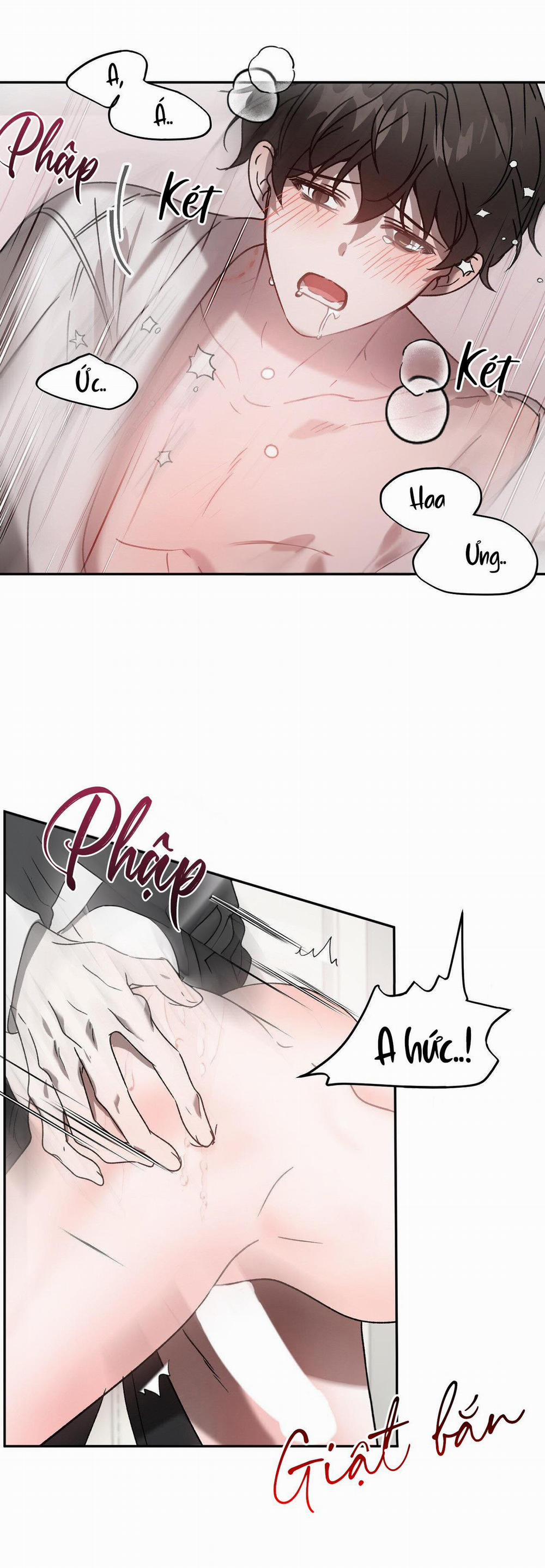 Đã Hiểu Chưa 40 trang 19