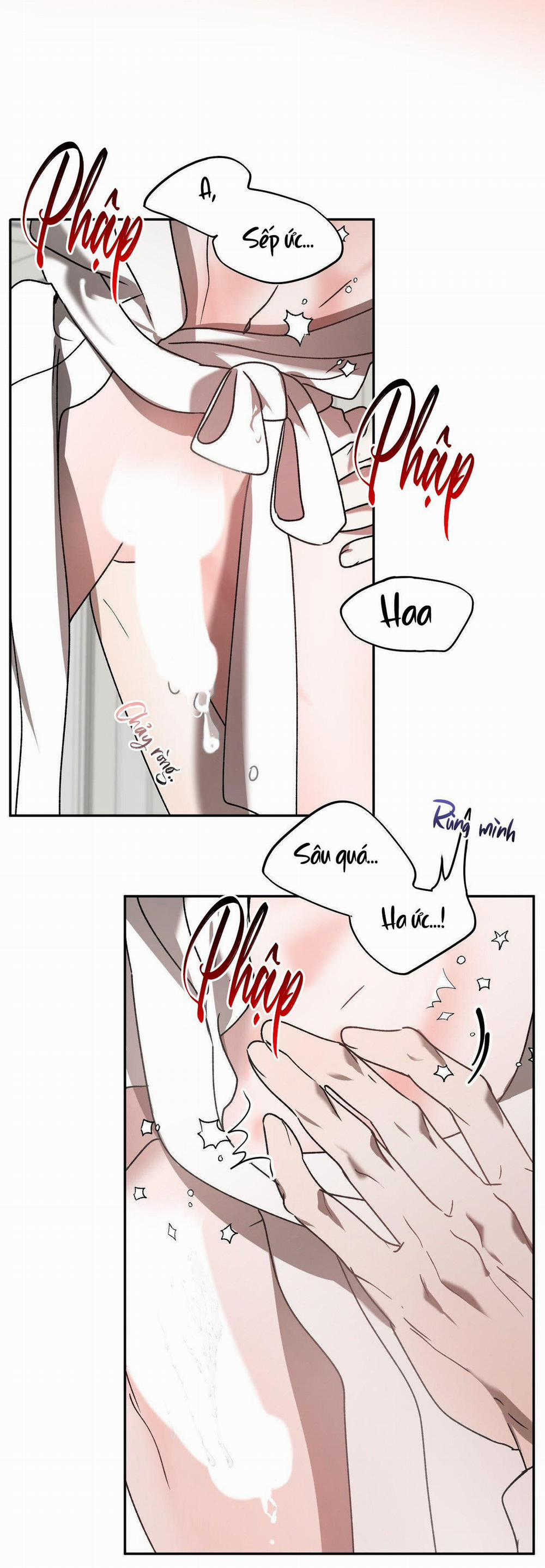 Đã Hiểu Chưa 40 trang 22