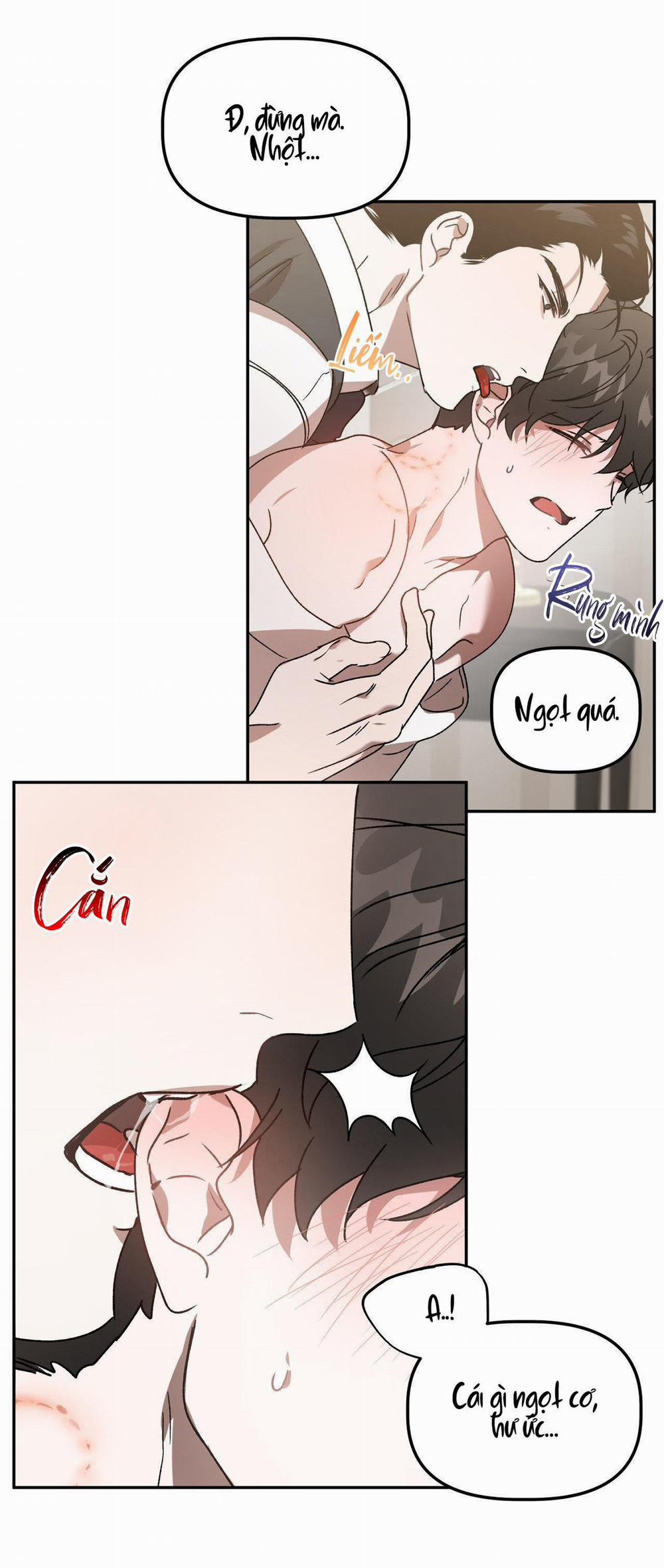 Đã Hiểu Chưa 40 trang 26