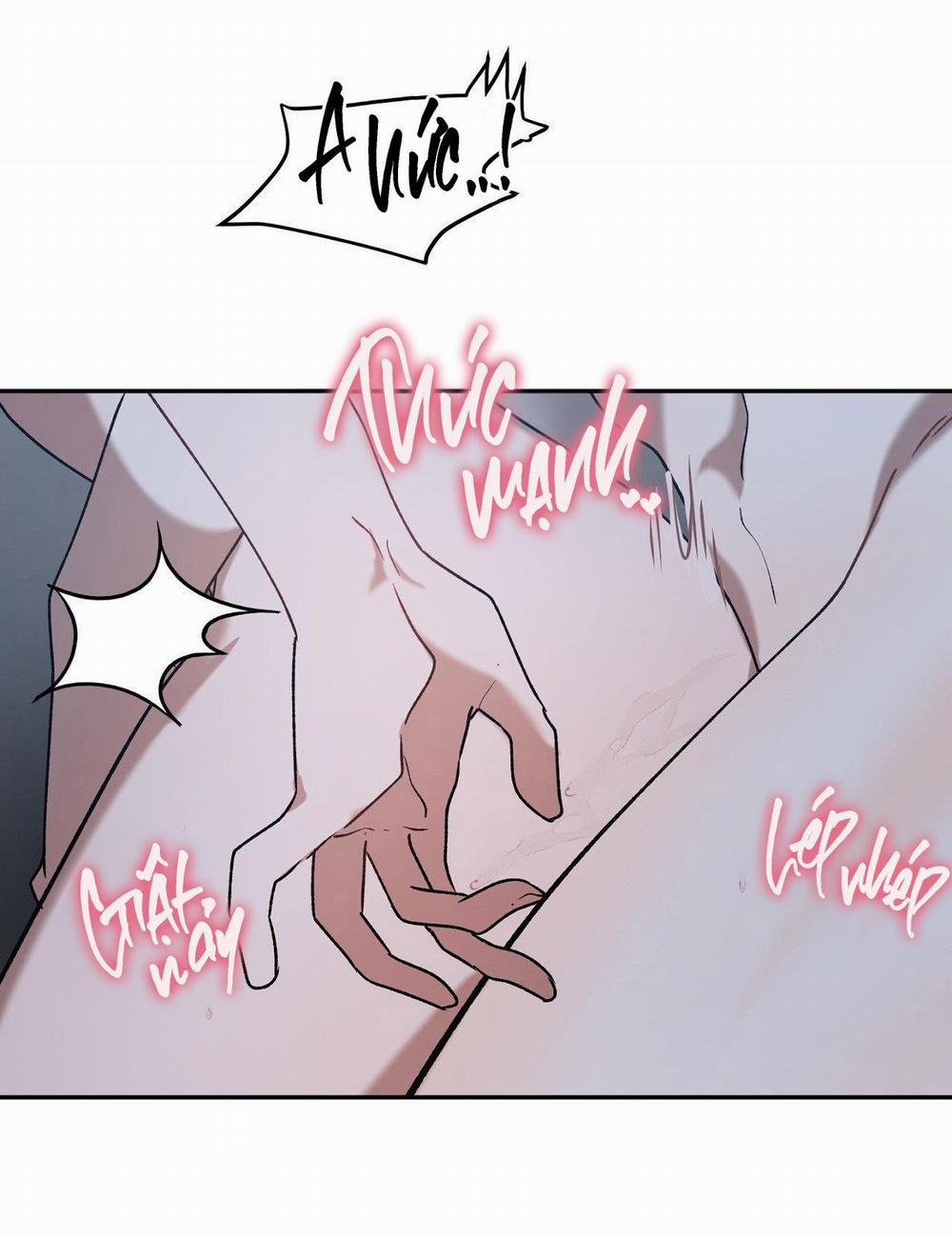 Đã Hiểu Chưa 43 trang 13