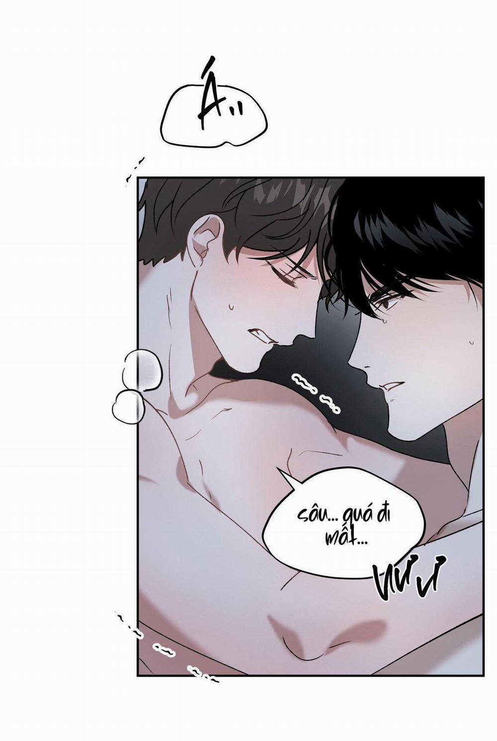 Đã Hiểu Chưa 43 trang 46