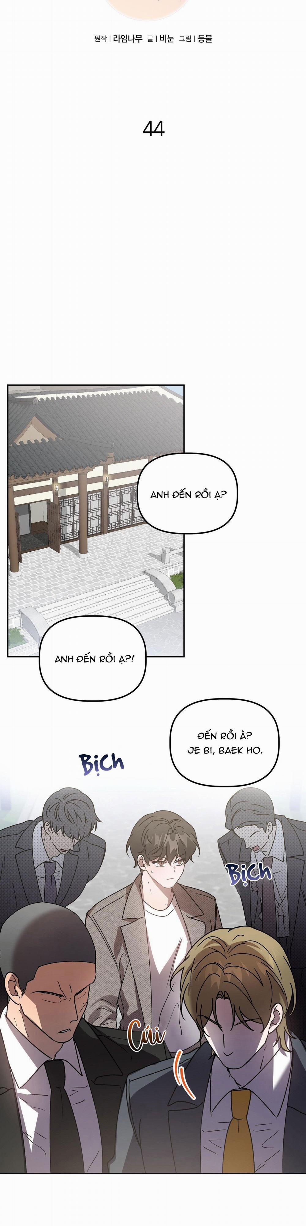 Đã Hiểu Chưa 44 trang 11