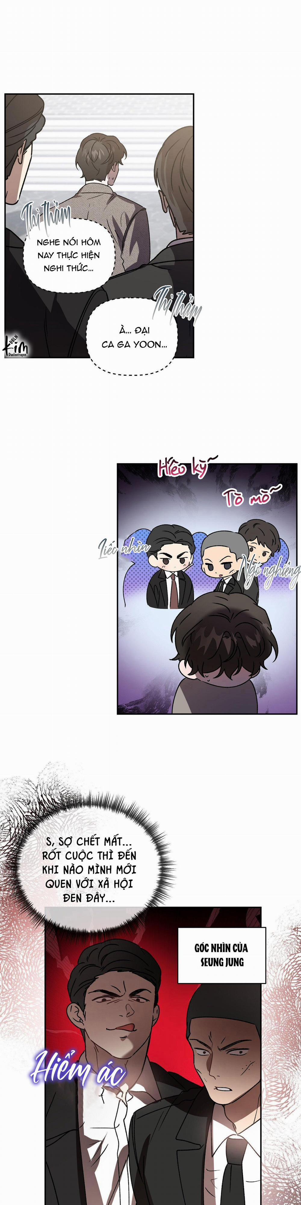 Đã Hiểu Chưa 44 trang 12