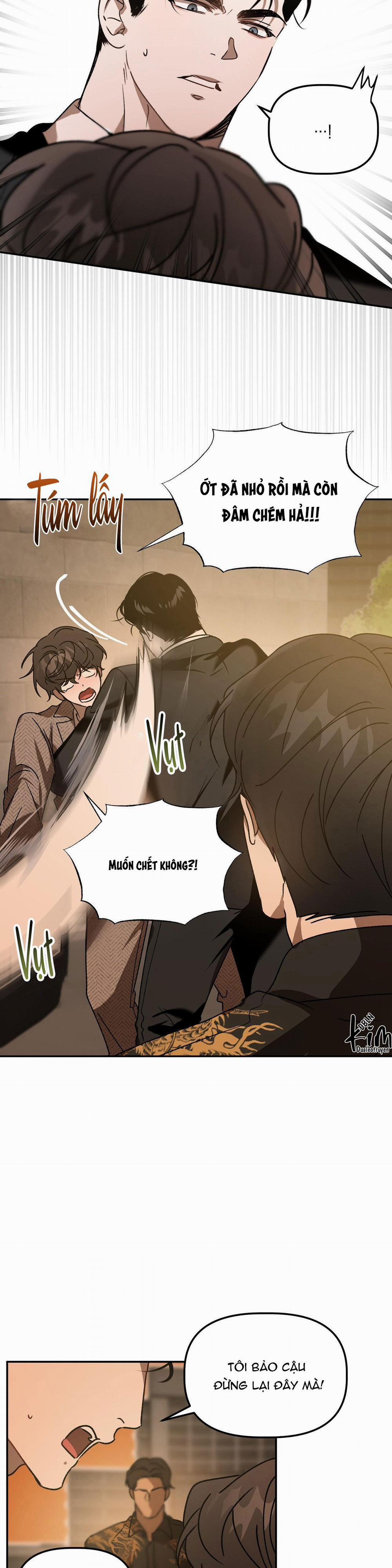 Đã Hiểu Chưa 46 trang 5