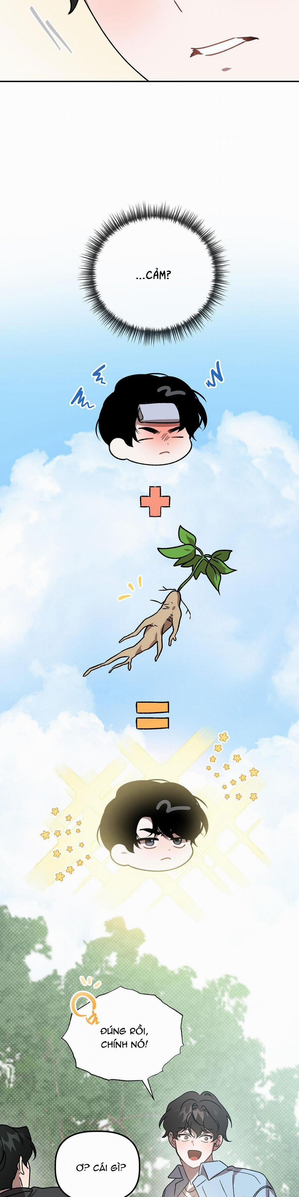 Đã Hiểu Chưa 50 trang 23