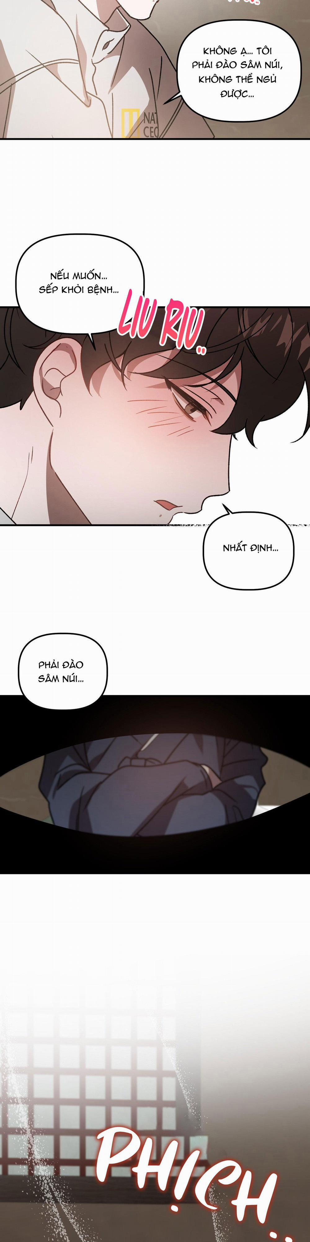 Đã Hiểu Chưa 51 trang 12