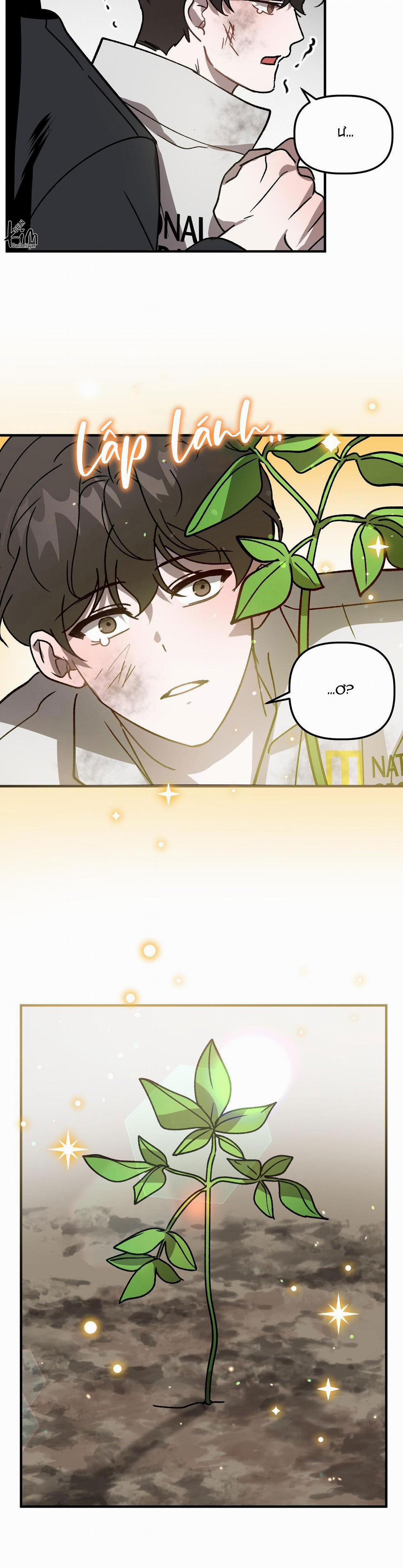 Đã Hiểu Chưa 51 trang 26