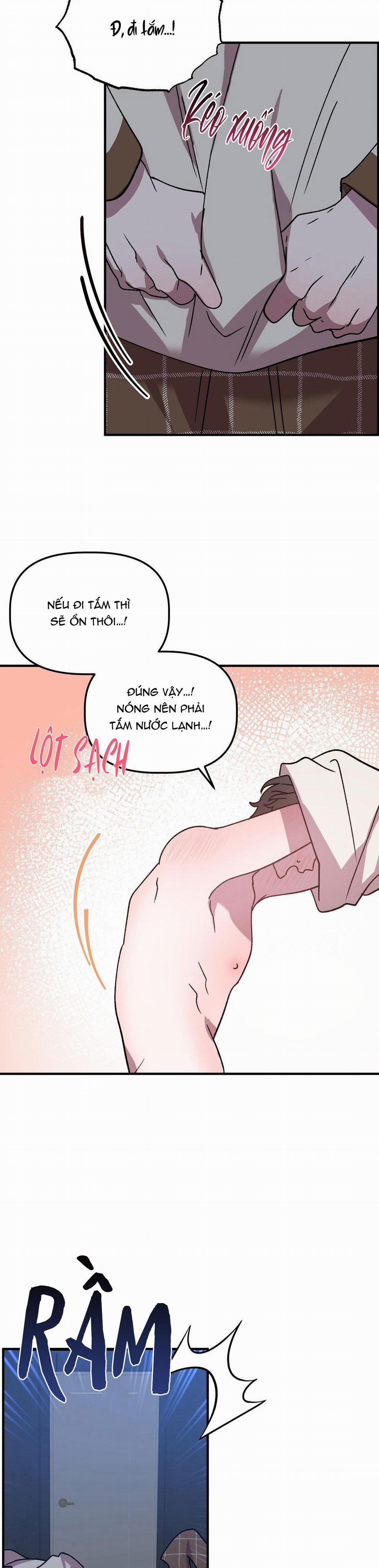 Đã Hiểu Chưa 52 trang 19