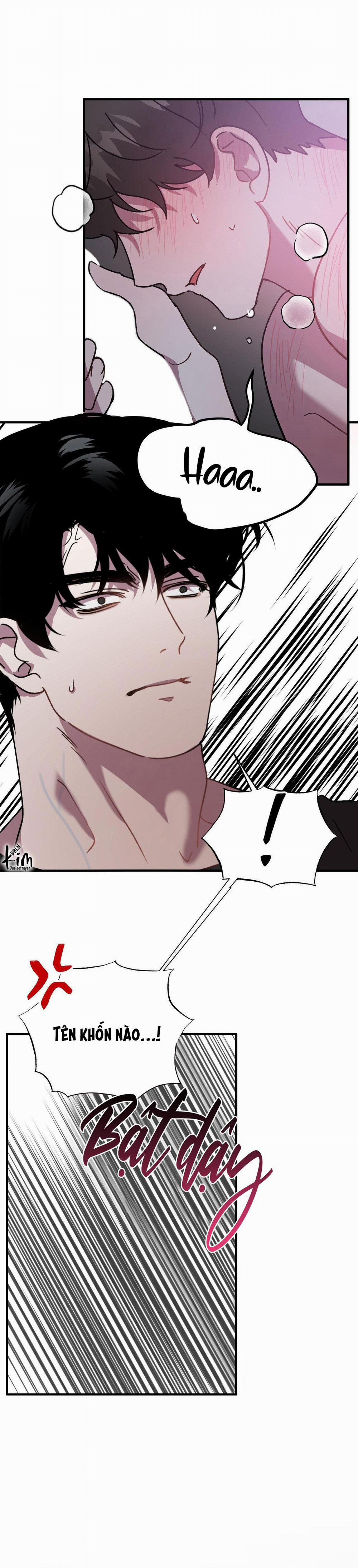 Đã Hiểu Chưa 52 trang 24