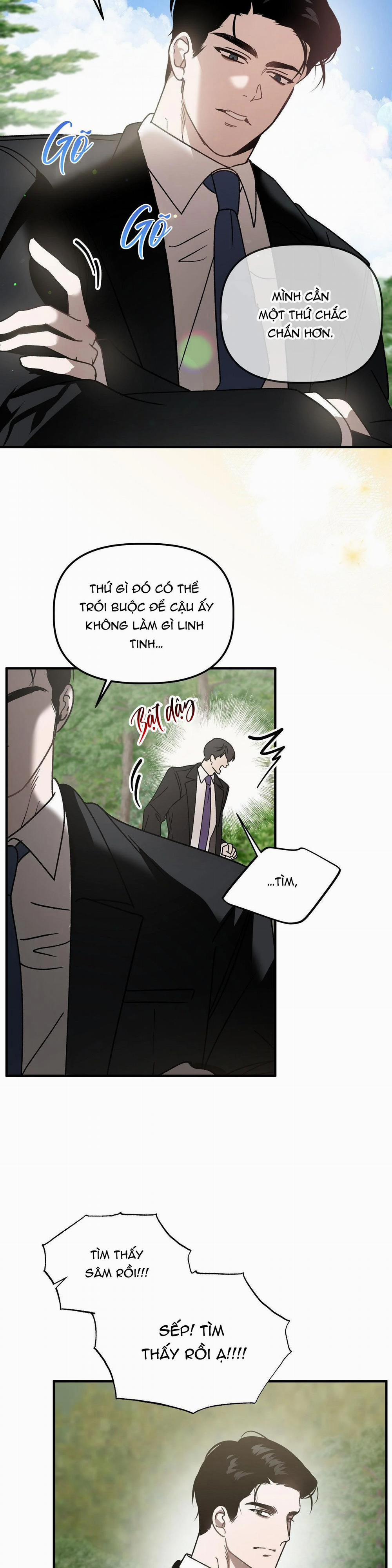 Đã Hiểu Chưa 54 trang 12