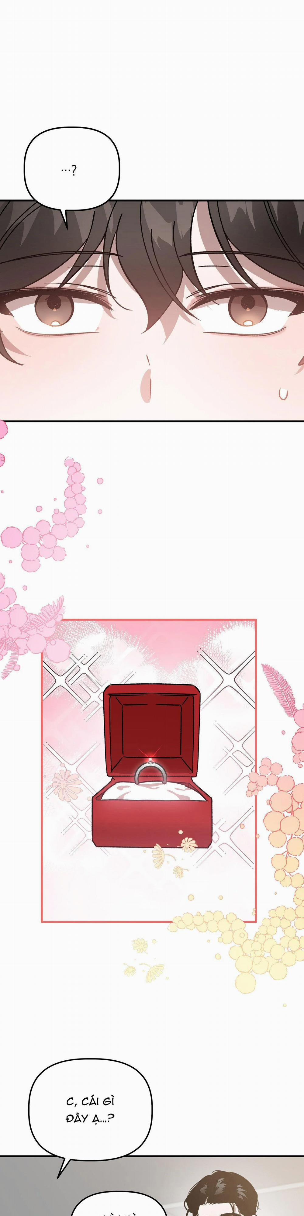 Đã Hiểu Chưa 54 trang 21