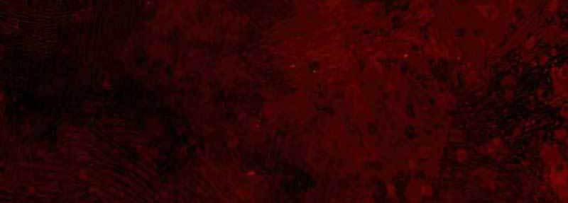 Đã Là Quỷ Thì Không Thể Sống Như Người Thường 27 trang 266