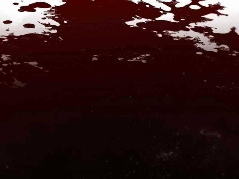 Đã Là Quỷ Thì Không Thể Sống Như Người Thường 33 trang 206