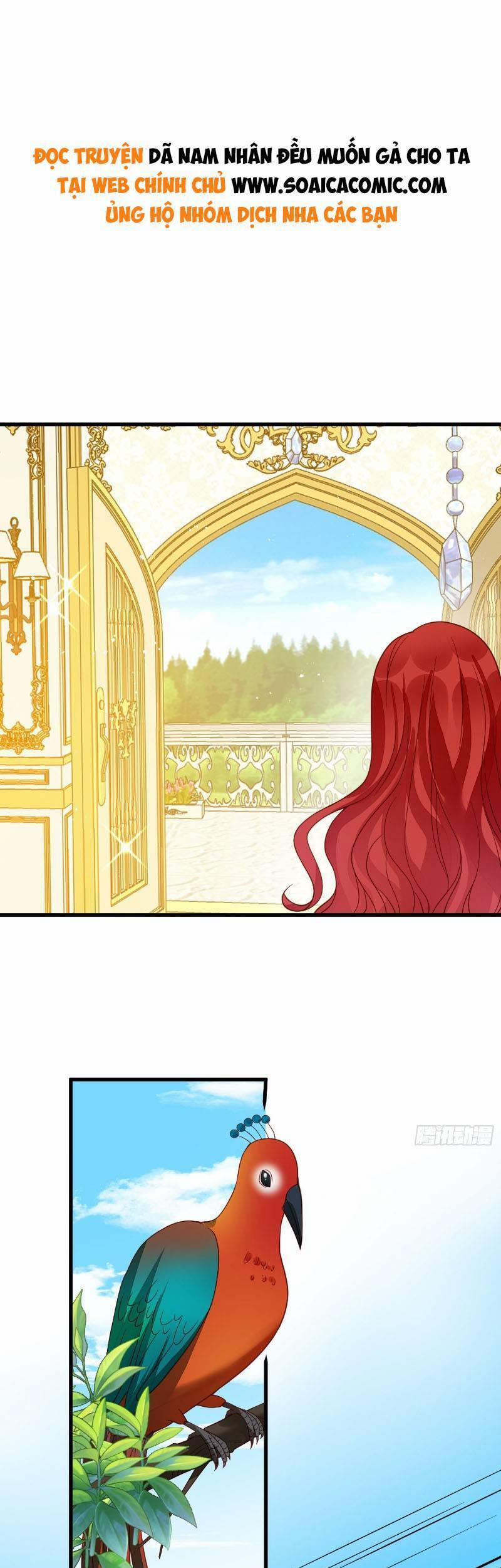 Dã Nam Nhân Đều Muốn Gả Cho Ta 39 trang 0