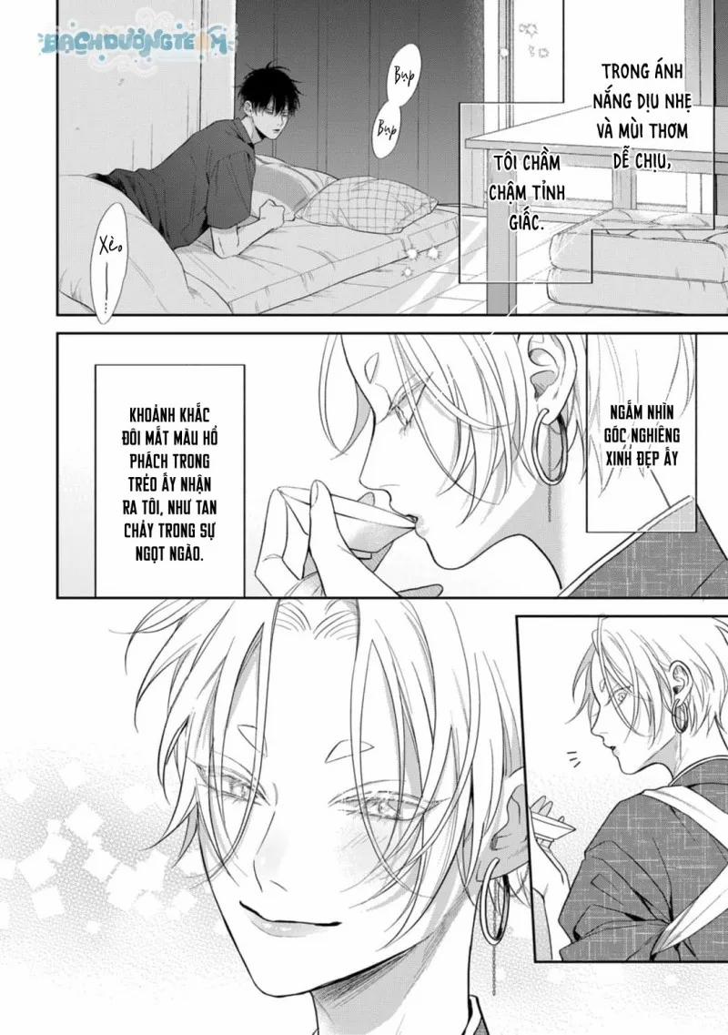 Đặc Ân Của Yêu Hồ 3 trang 3