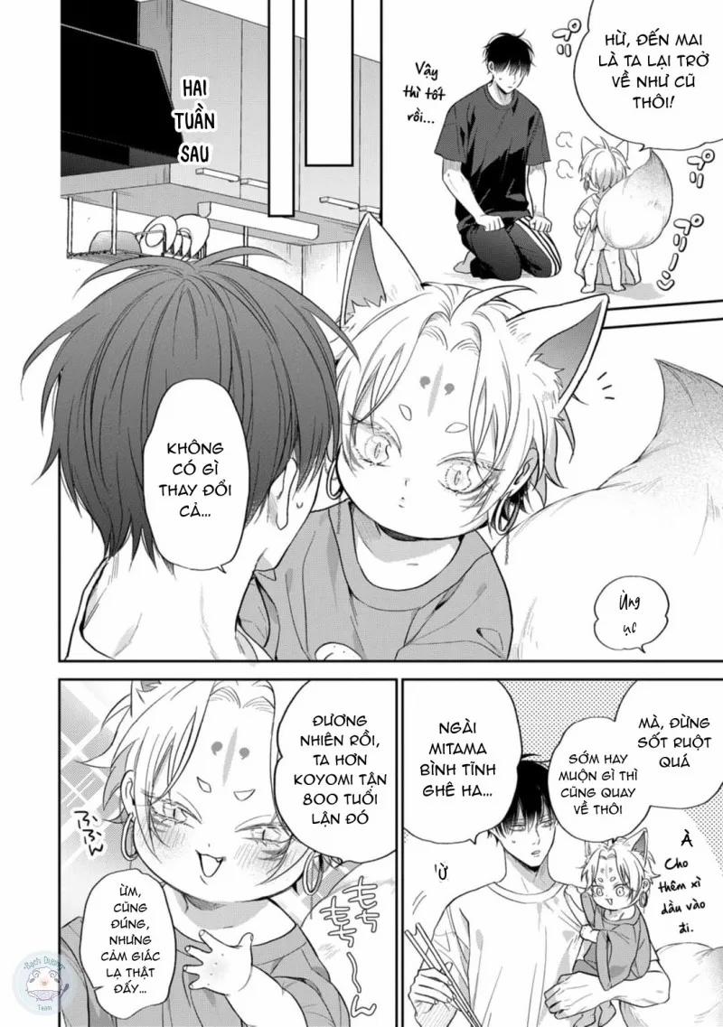 Đặc Ân Của Yêu Hồ 4 trang 11