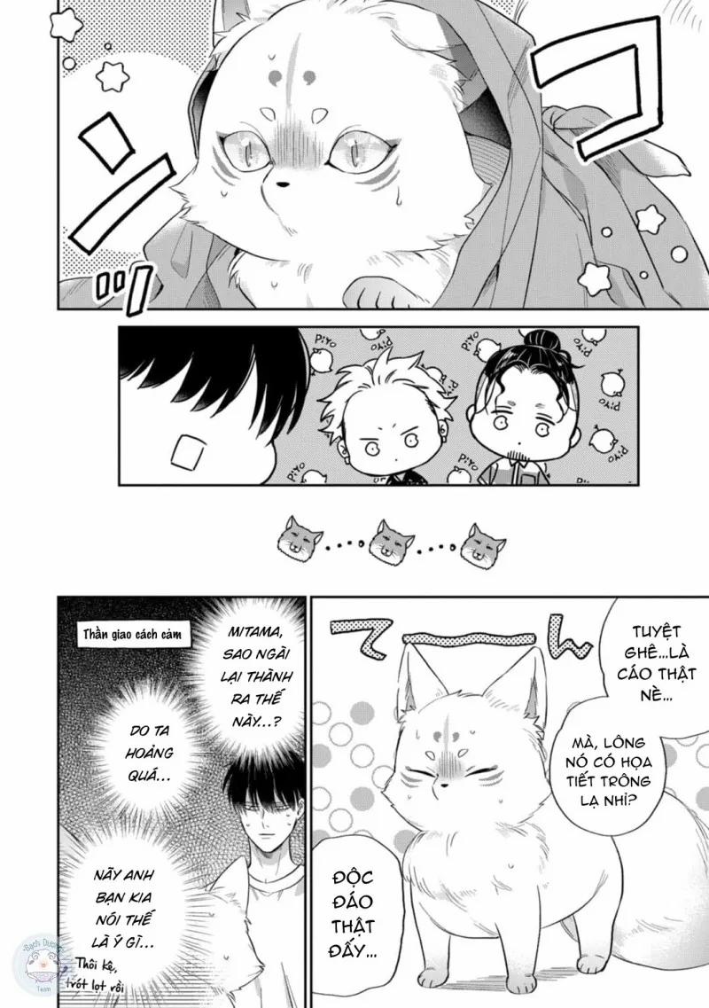 Đặc Ân Của Yêu Hồ 4 trang 17