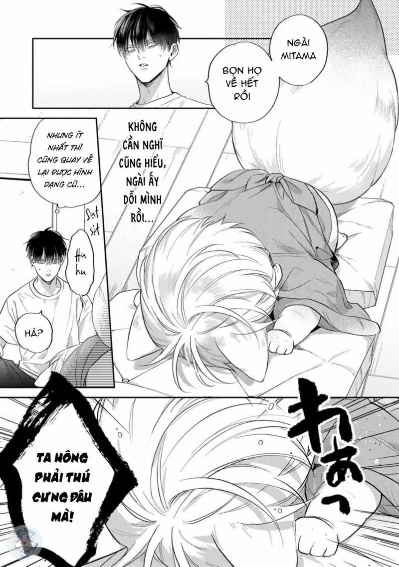 Đặc Ân Của Yêu Hồ 4 trang 20