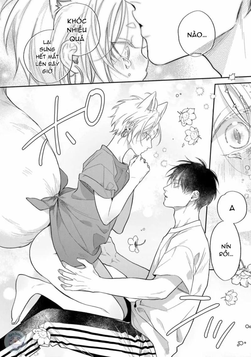 Đặc Ân Của Yêu Hồ 4 trang 25