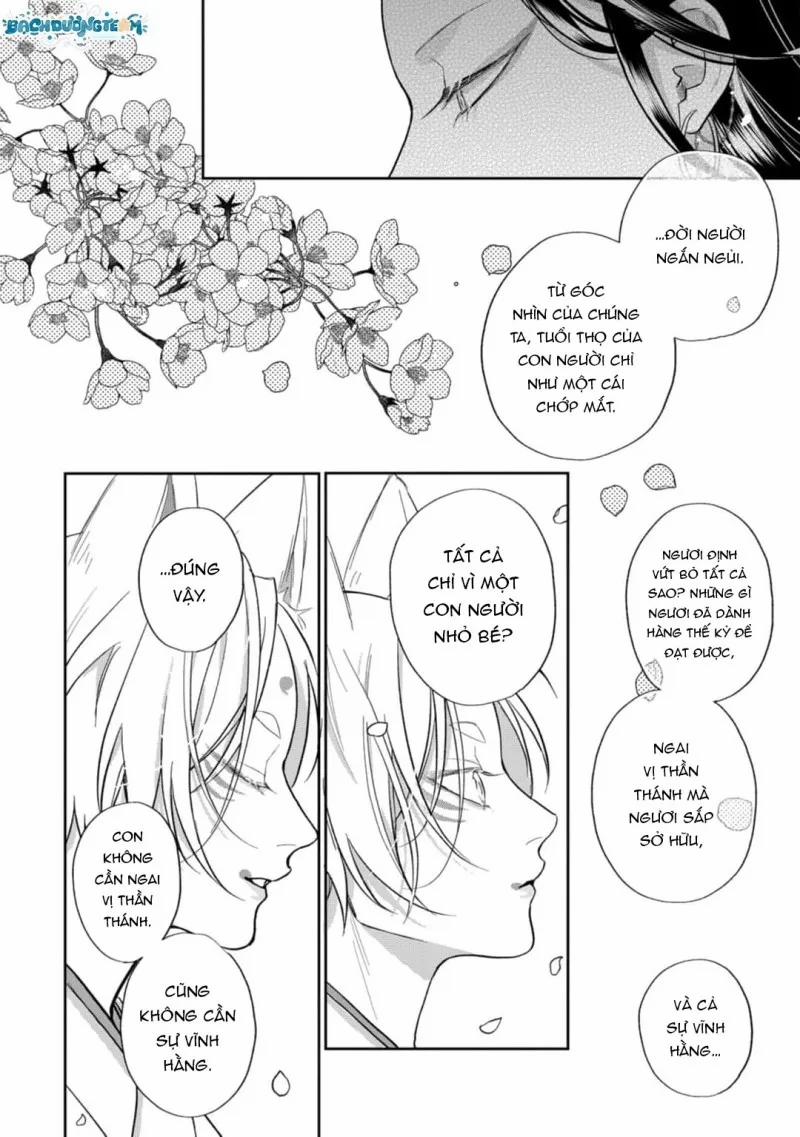 Đặc Ân Của Yêu Hồ 7 trang 27