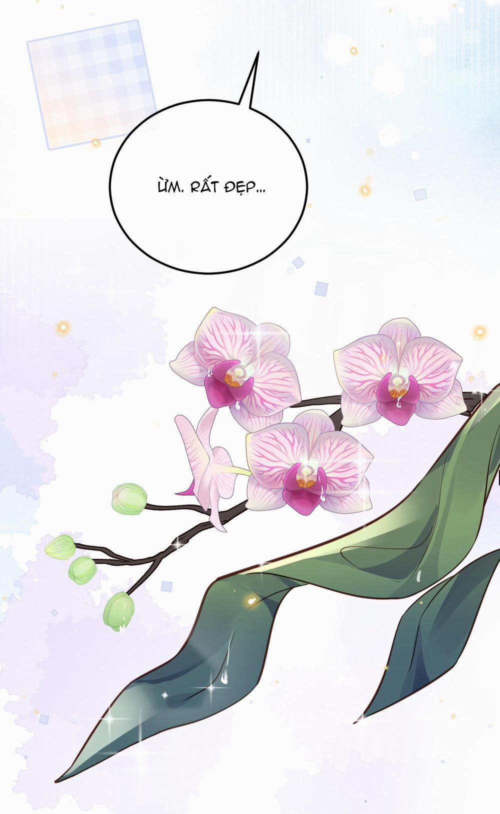 Đặc Chế Cho Riêng Anh 44 trang 26