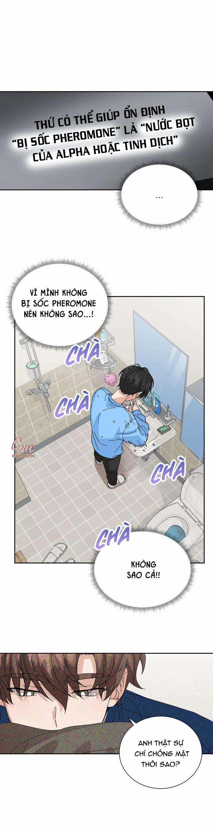 ĐẶC QUYỀN CHO CẶP ĐÔI MỚI CƯỚI 10 trang 13